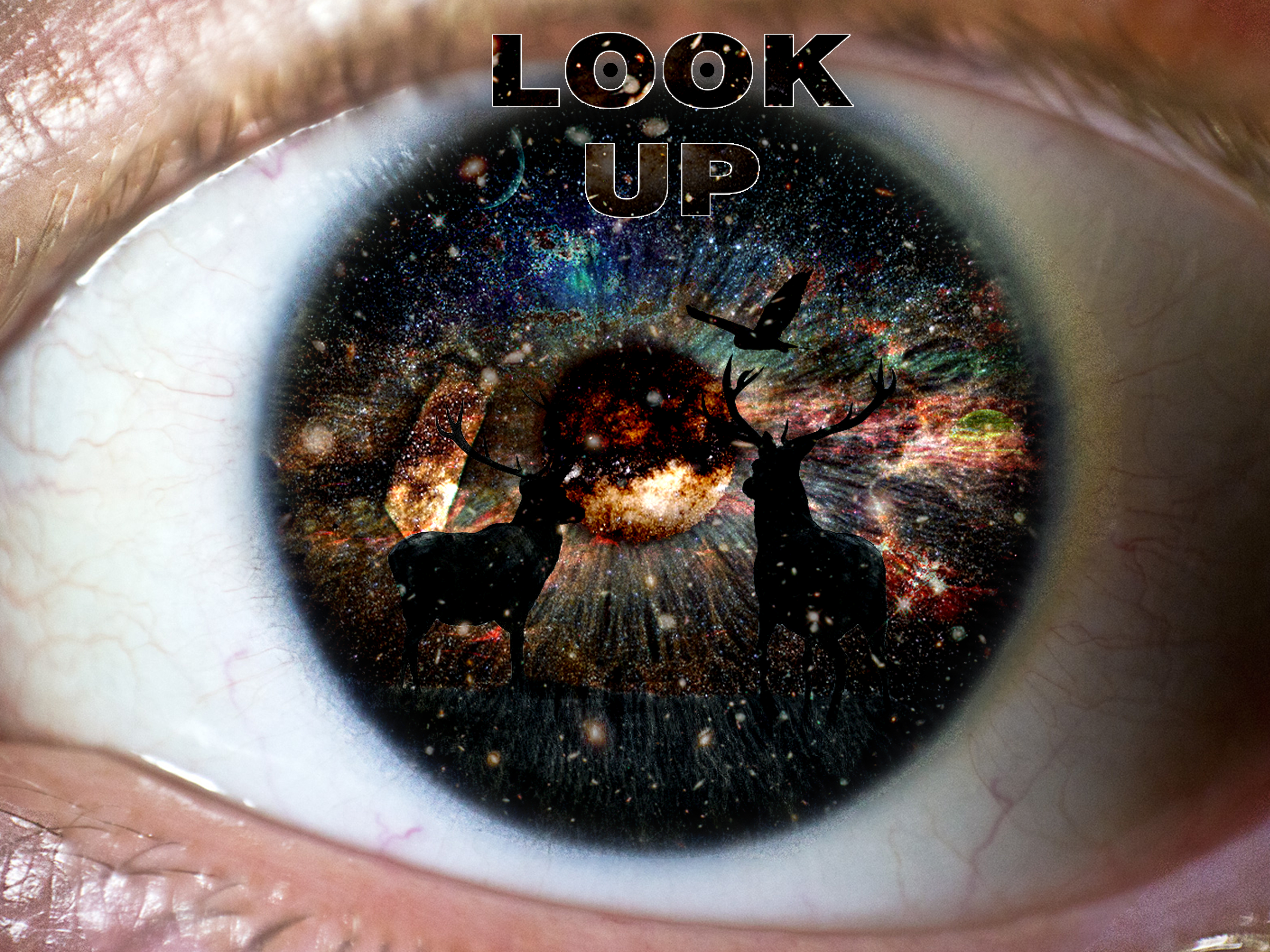 Look Up Poster