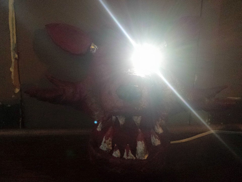 Foxy Lamp On