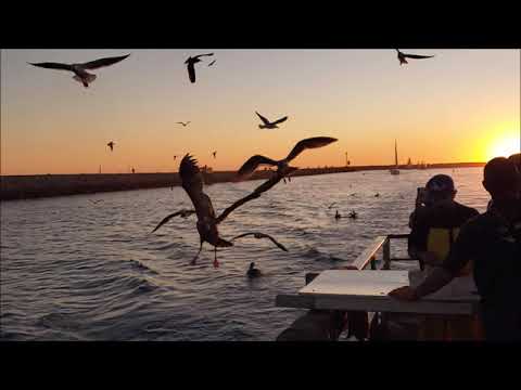 California Trip (WIP)